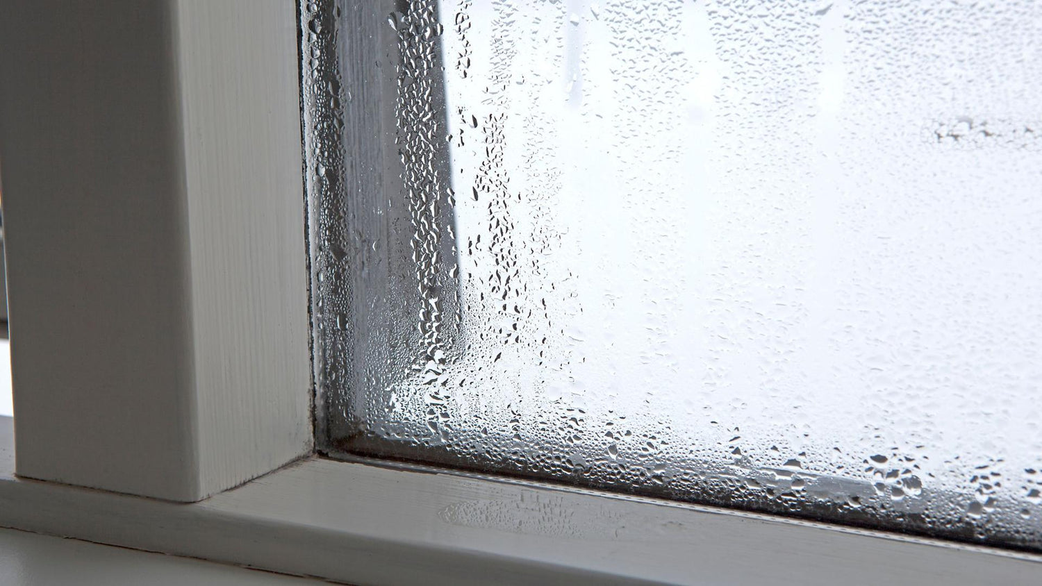 safe care tips,safe humidity control,temperature management