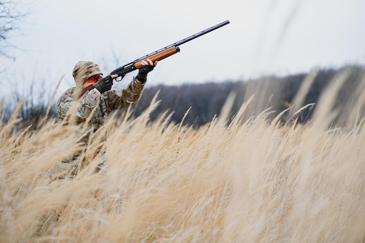 Hunting permit. Man brutal gamekeeper nature background. hunter spend leisure hunting. Hunter hold riffles. Focus and concentration of experienced hunter. Hunting and trapping seasons