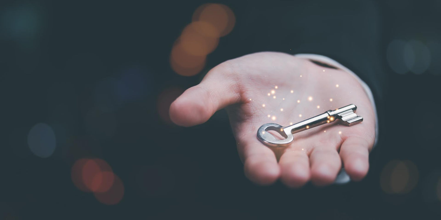 keys in businessman hands ,solution concept and leadership strategies, Key to success ,organization development and financial growth and investment, Tips from successful people ,Professional support