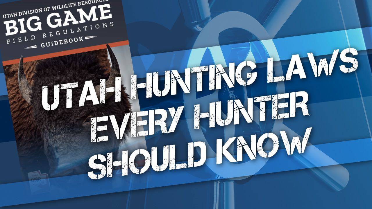 Utah Hunting Laws Every Hunter Should Know