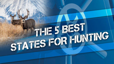 The 5 Best States For Hunting