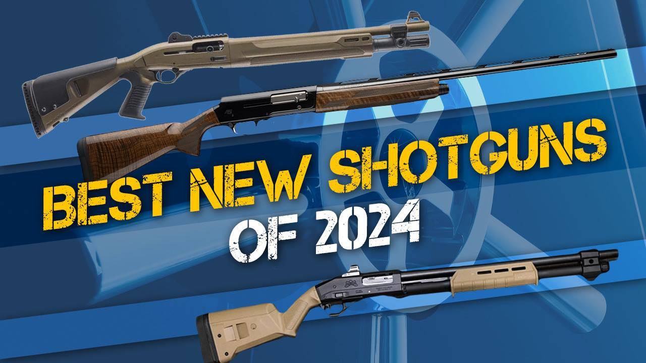Best Shotguns of 2024