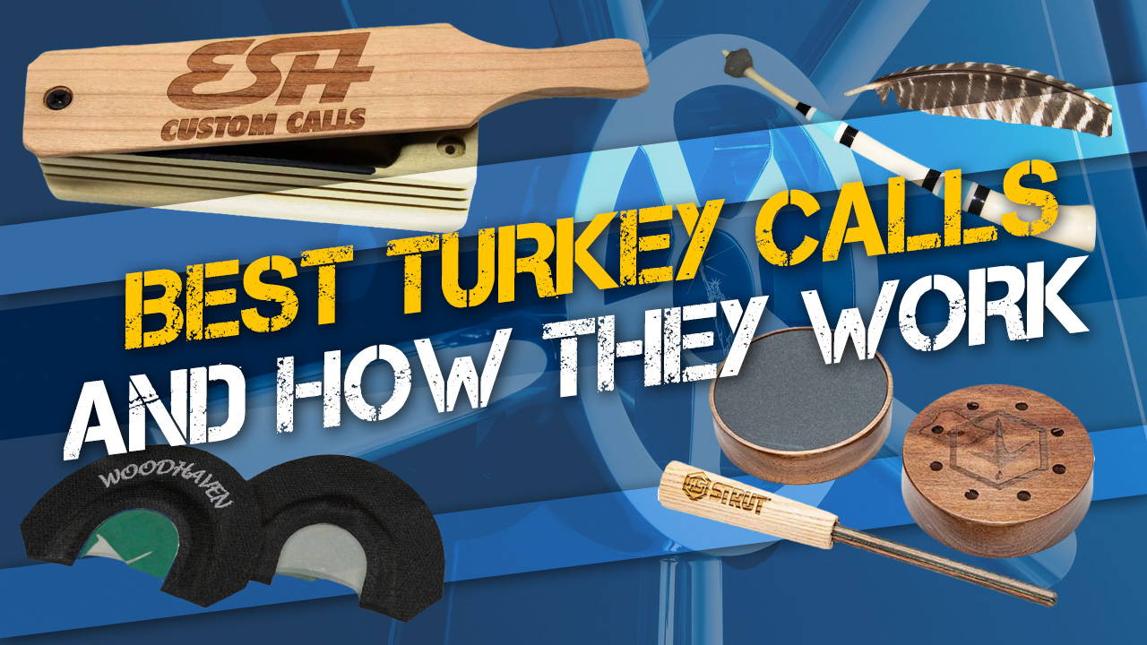 Best Turkey Calls and How They Work