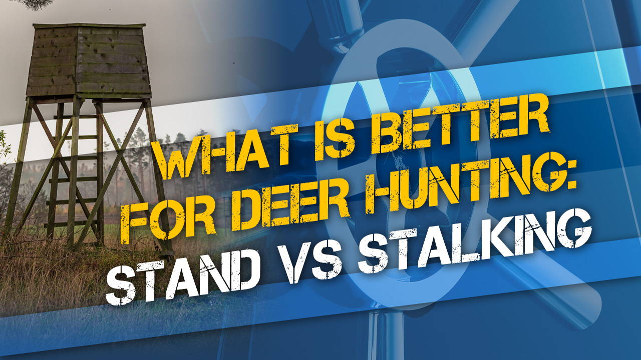 What is Better For Hunting Deer: Stand vs Stalking