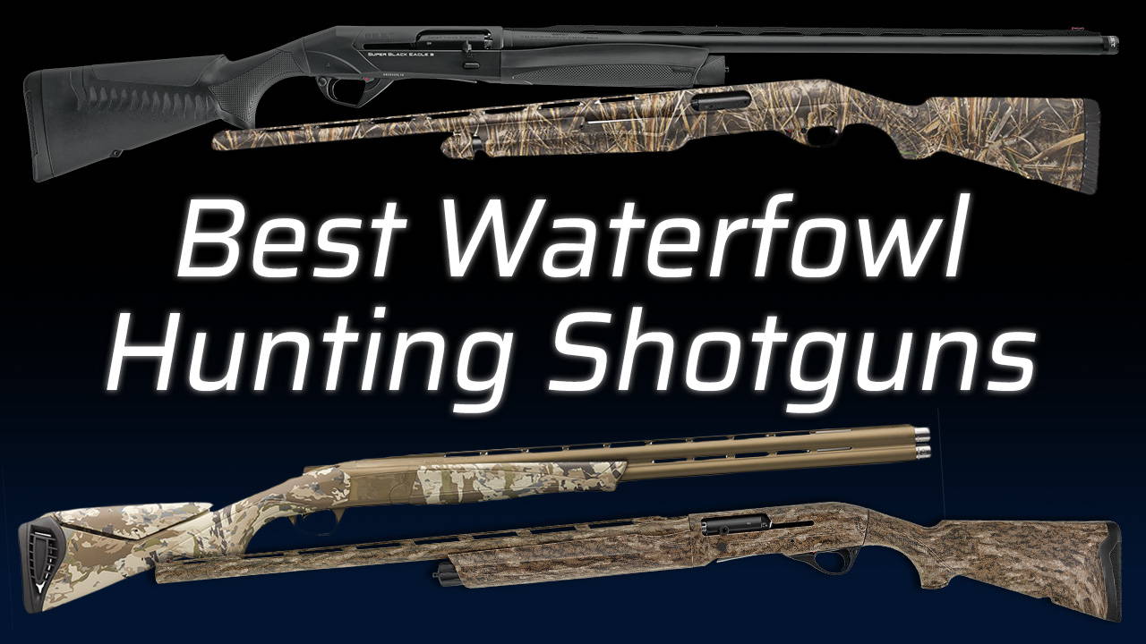 Best Waterfowl Hunting Shotguns (2024-2025 Edition)