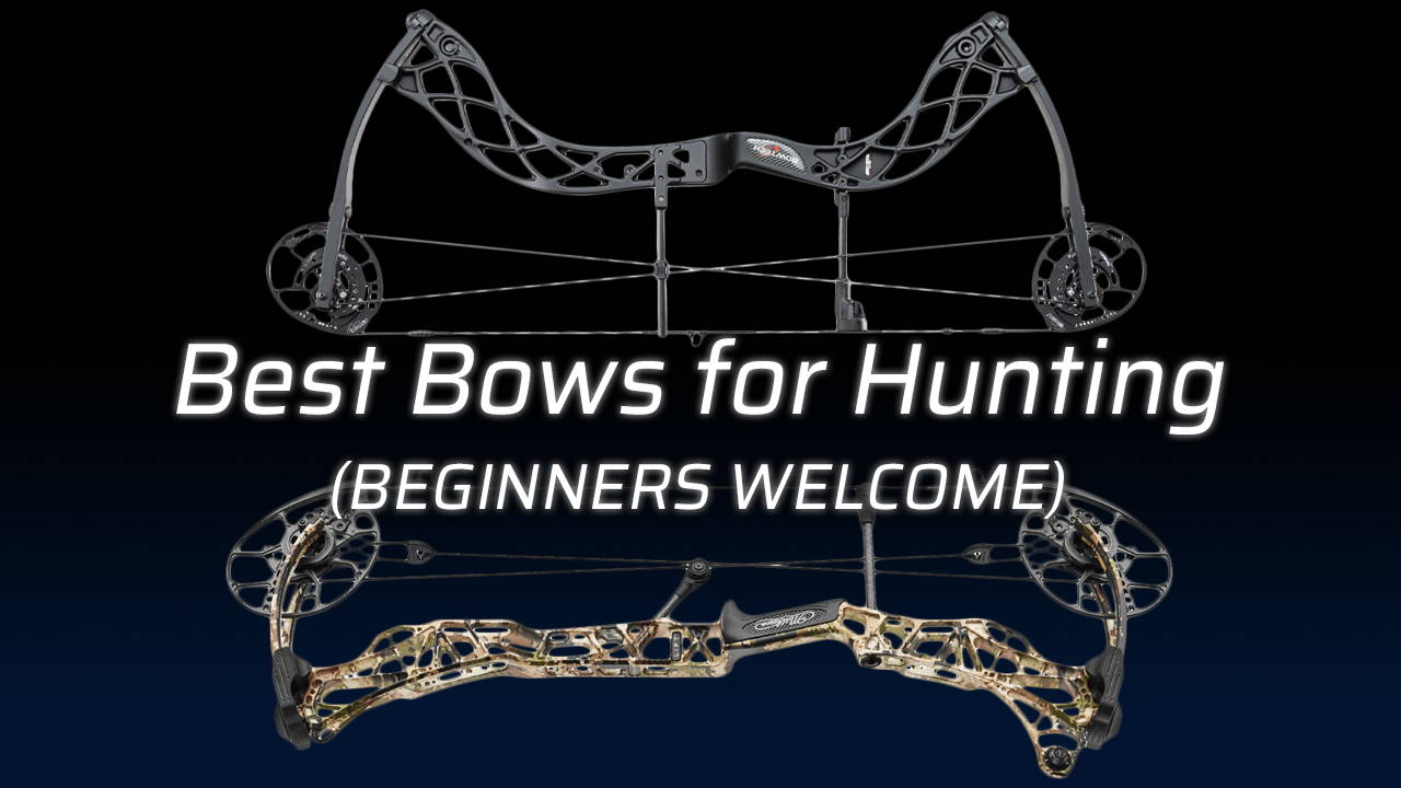 Top Bows for Hunting (Beginners Welcome)