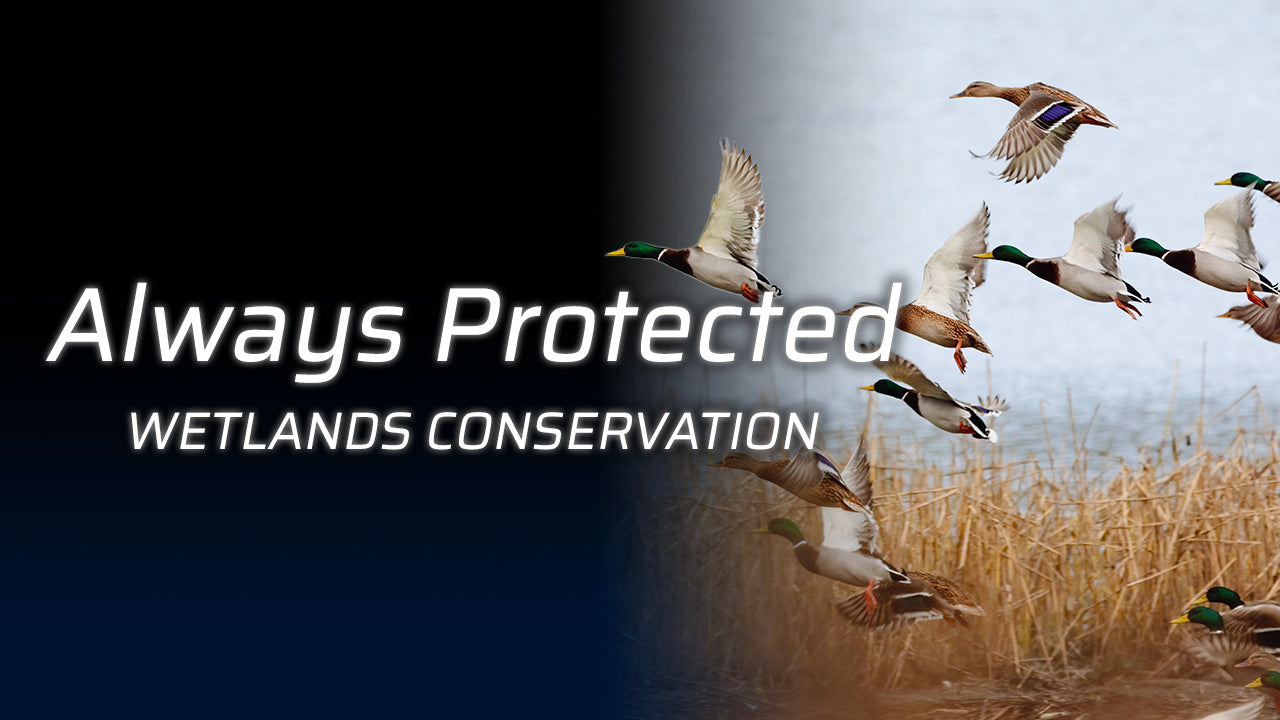 Wetlands Conservation - Always Protected by Liberty Safe